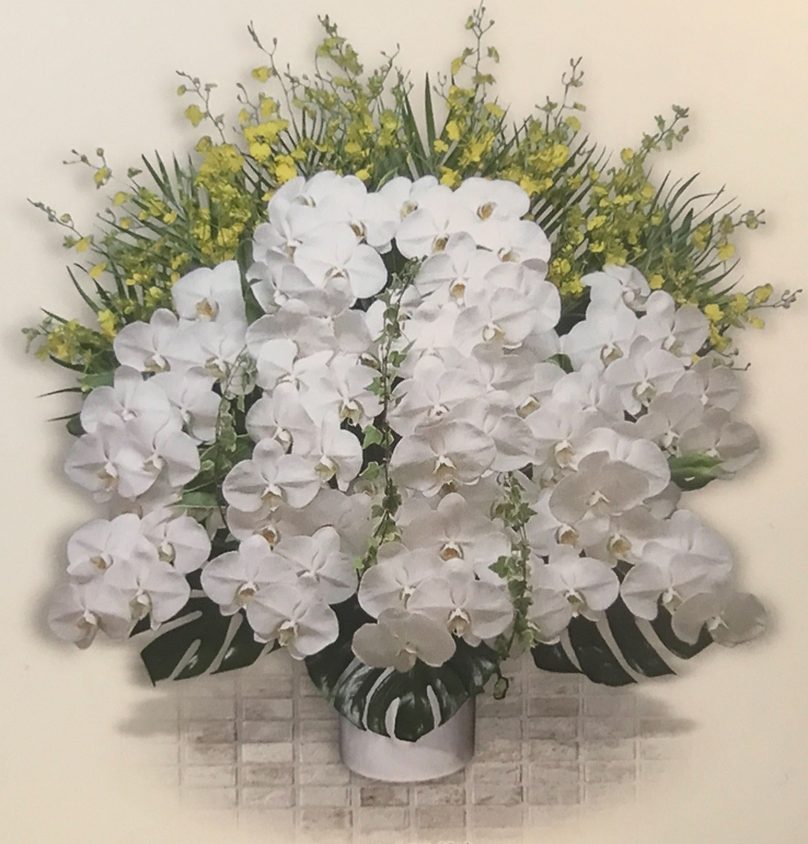 ファレノ生花Ⅲ＜デジタルメッセージ＞