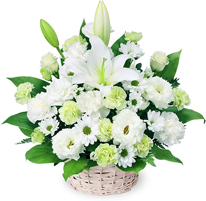 枕花＜デジタルメッセージ＞