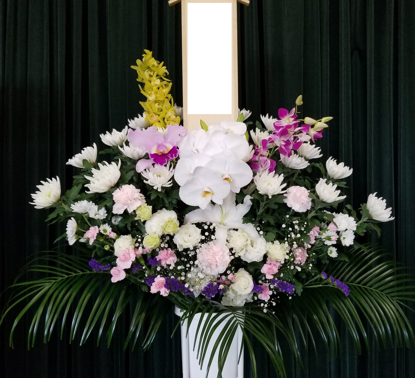 菊花A