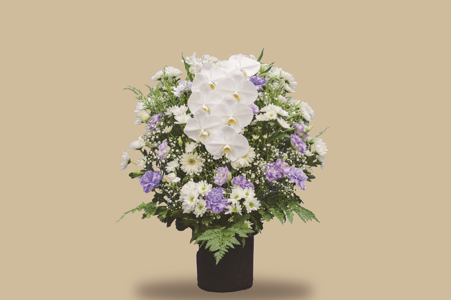 生花 FL-1＜デジタルメッセージ＞