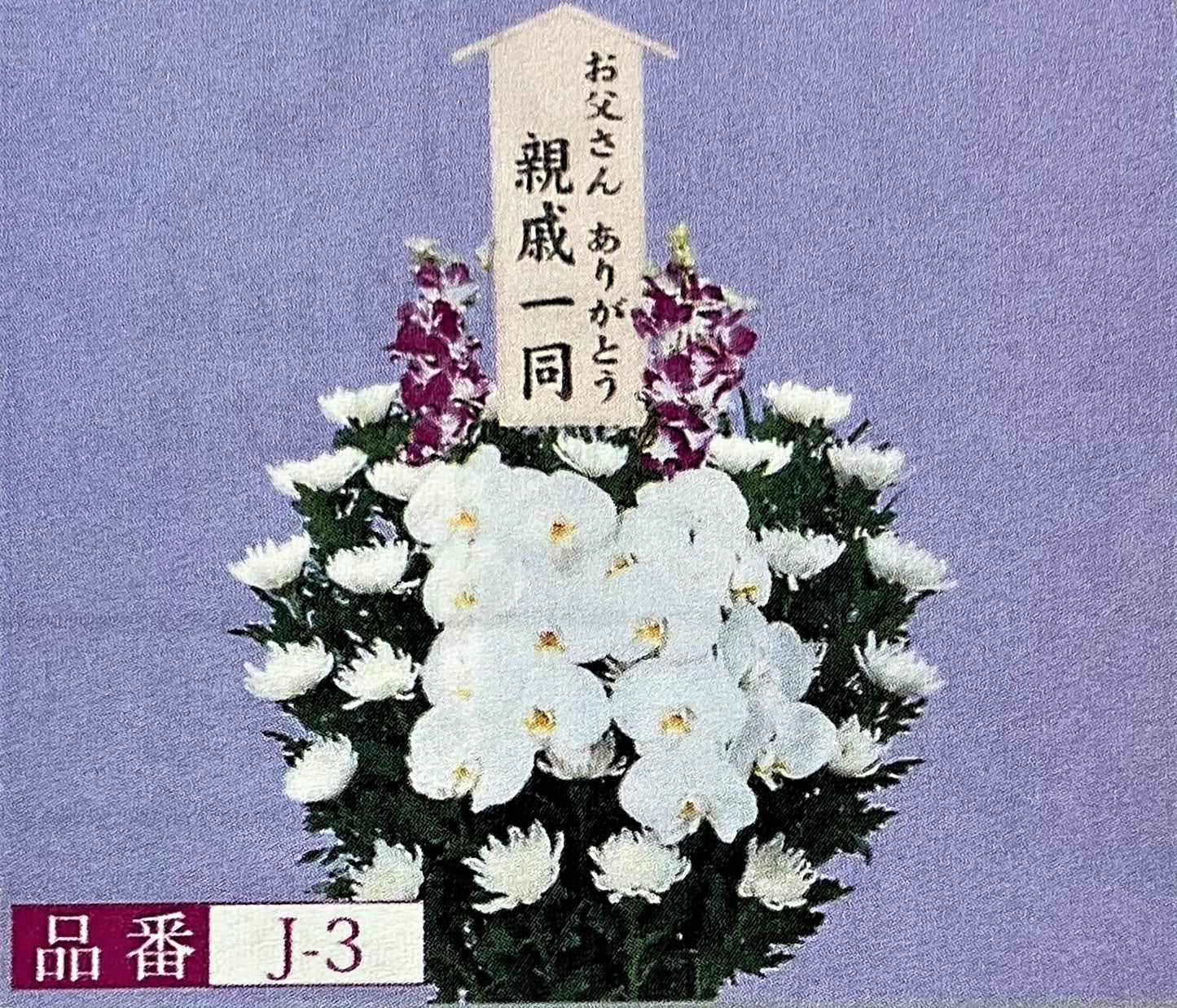 菊 J-3