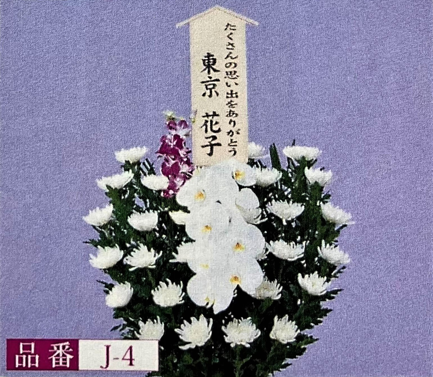 菊 J-4