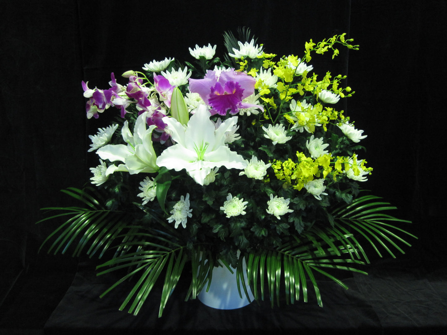 白菊生花(一基)
