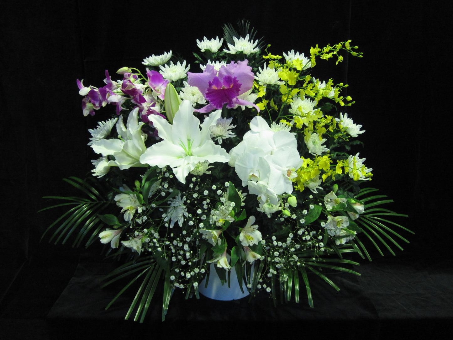 白菊生花(一基)