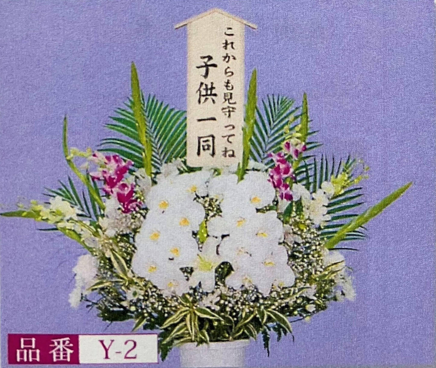 洋花 Y-2