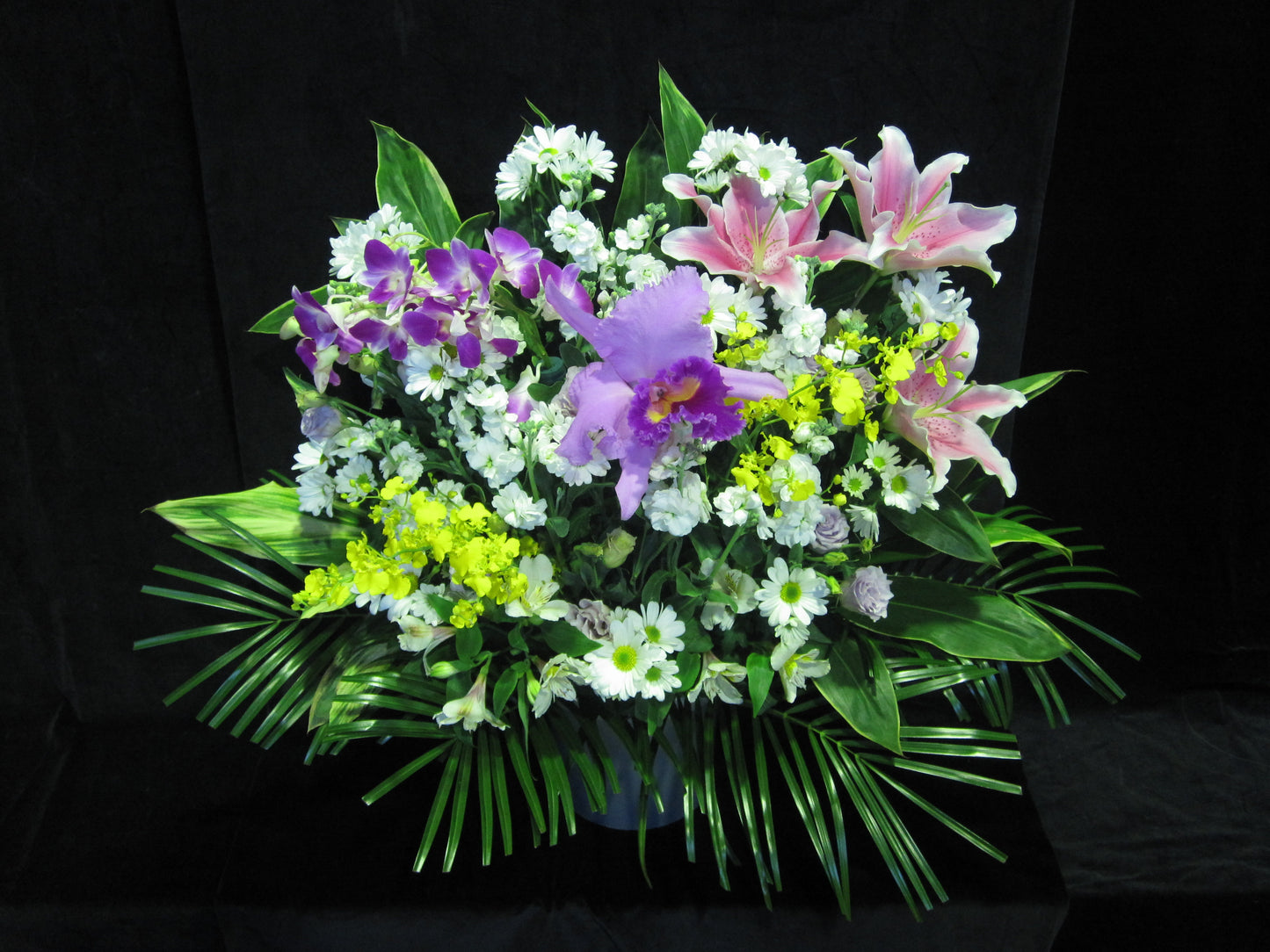 洋花生花(一基)
