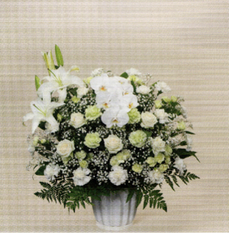 洋花-200＜デジタルメッセージを添えることができます＞