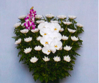 菊籠