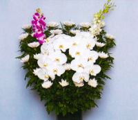 菊籠